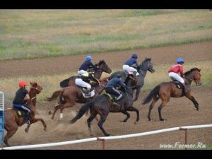 Скачки на лошадях Элиста 16 мая 2013г.  III заезд, 1600 метров
