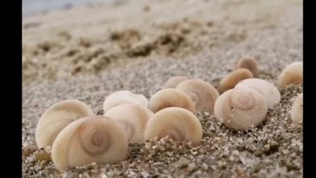 Ithaca (Konstantinos Kavafis, 1911) ~ Sean Connery (FR & RO srt) смотреть онлайн