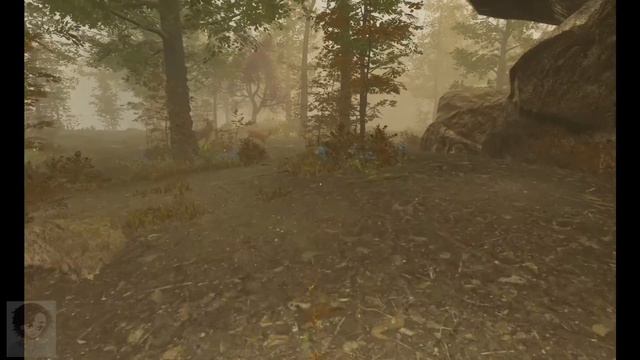 Pluviophile / САМЫЙ НЕОБЫЧНЫЙ Let's Play...
