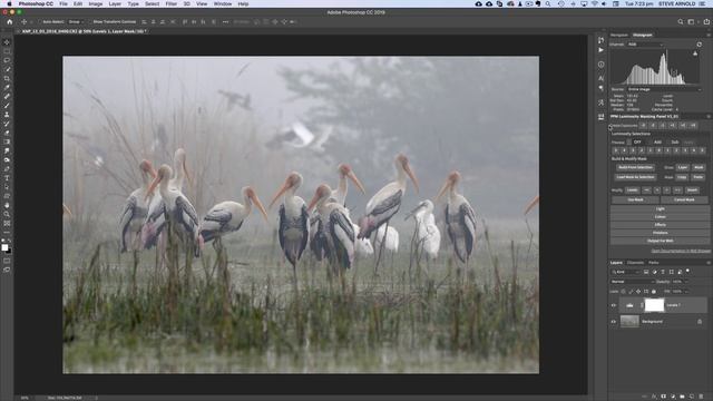 How To Rescue Contrast with Curves and Levels in Photoshop смотреть онлайн