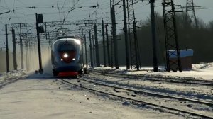 Сапсан зимой