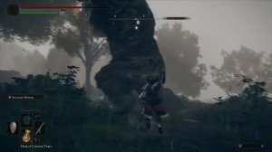 Elden Ring на PS4 - Всё что Нужно Знать