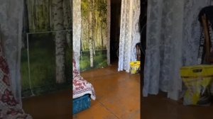 БЕЗУМНЫЙ ПАША ВЫСЕЛЯЕТ ИРИШКУ ЧИКИ-ПИКИ