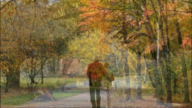 Осенние листья В Нечаев смотреть онлайн