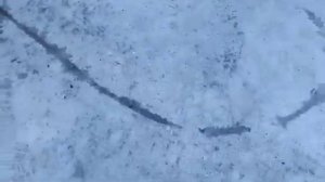 Канализация замёрзла труба. Парогенератор делает своё дело.