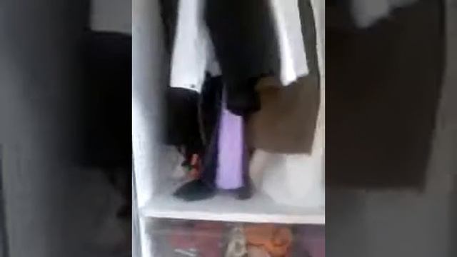 Где можно спрятать л/д смотреть онлайн