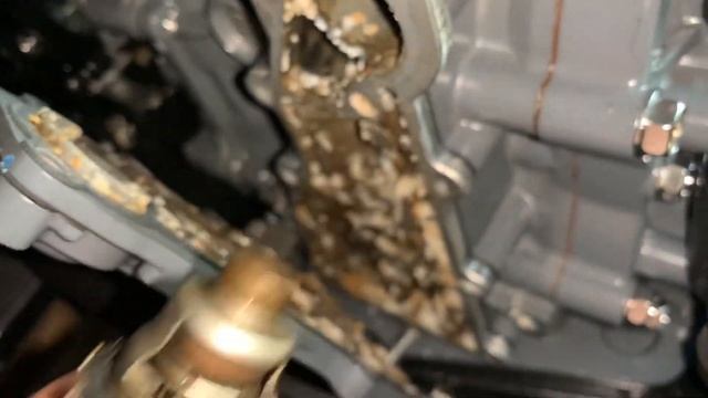 Морская соль, Suzuki DT9.9AS смотреть онлайн