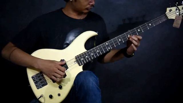 Aria Pro II RS Series смотреть онлайн