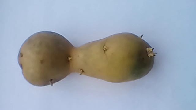 Зеленый  Еда