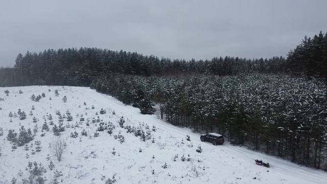 Зимний лес смотреть онлайн