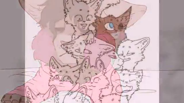 Набор в племя ,,Пушистых лап,, смотреть онлайн