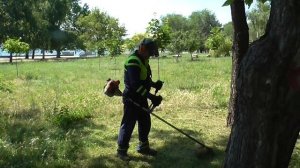 Так косят траву с помощью триммера