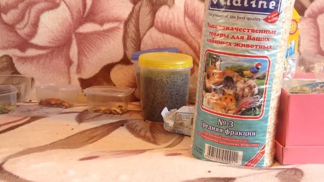 ||Информация|| Уход за шиншиллами. смотреть онлайн