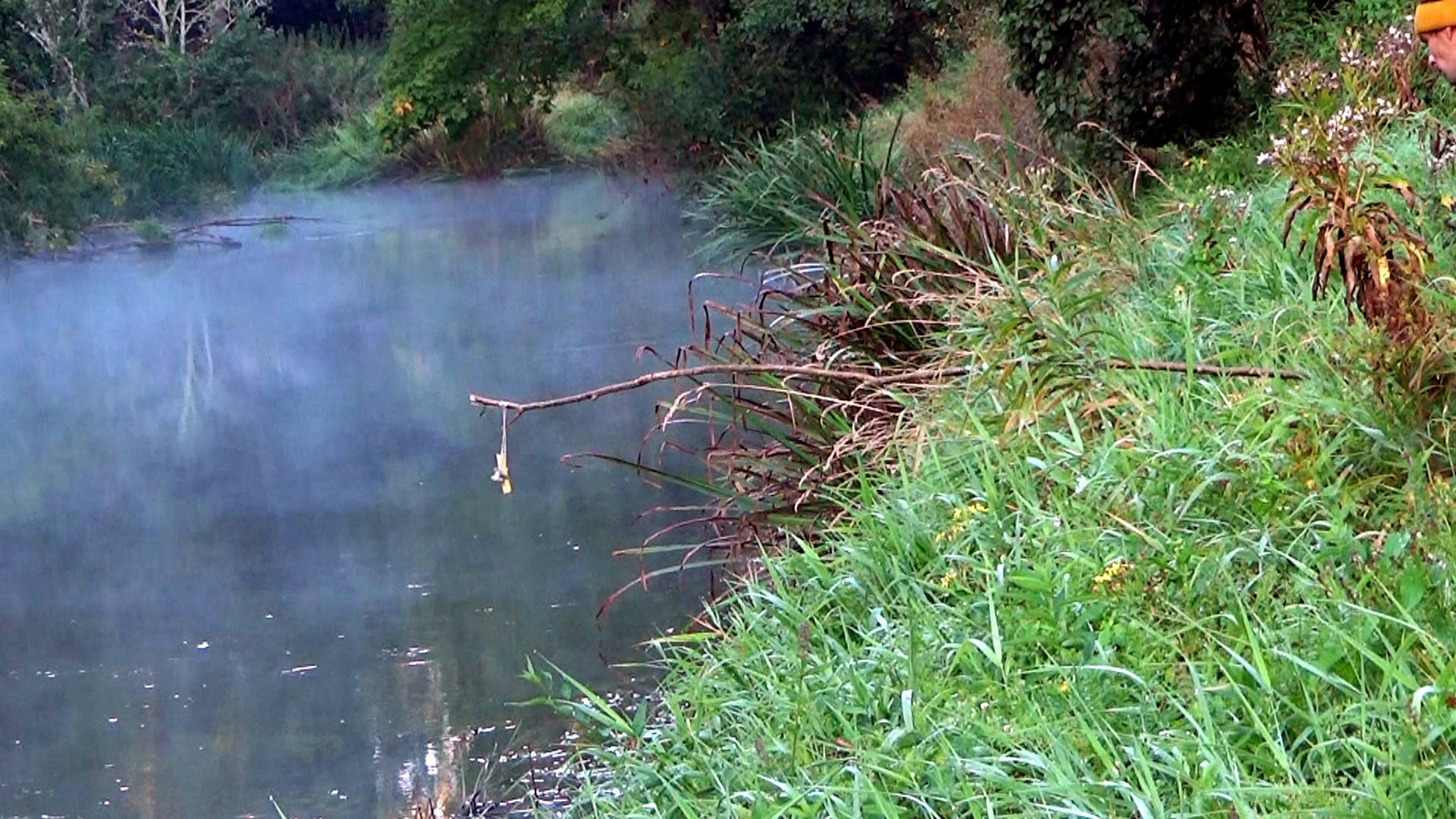 Рыбалка 7 сентября, как она есть, на щуку на орешниковые удочки смотреть онлайн