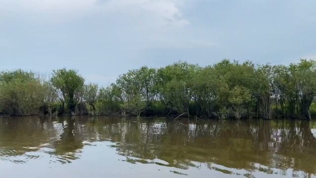 Путешествие на лодке ? // Петроглифы Сикачи-Аляна // Anya Irodova // ? смотреть онлайн