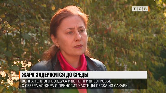 Жара задержится до среды смотреть онлайн