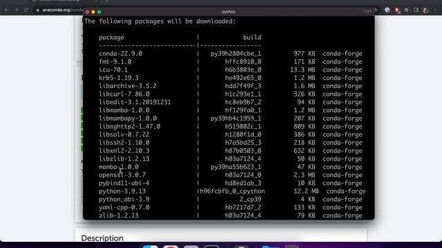 how to install mamba in conda base environment смотреть онлайн