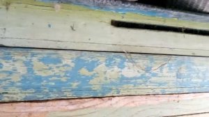 Зимовка пчел на воле. Условия успеха. Март 2021