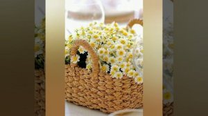 Характеристика человека рождённого 29 апреля