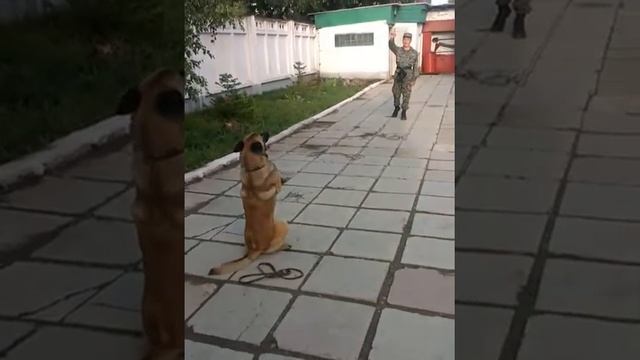 Окд смотреть онлайн