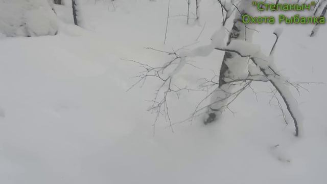 9 заезд Четверть Большого круга 30 01 23 смотреть онлайн