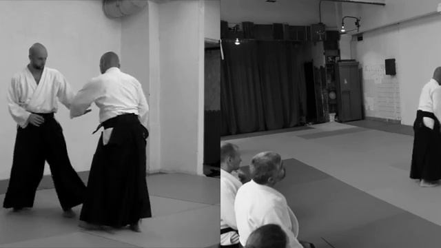 8 Gyakuhanmi & aihanmi kaitennage TD KK