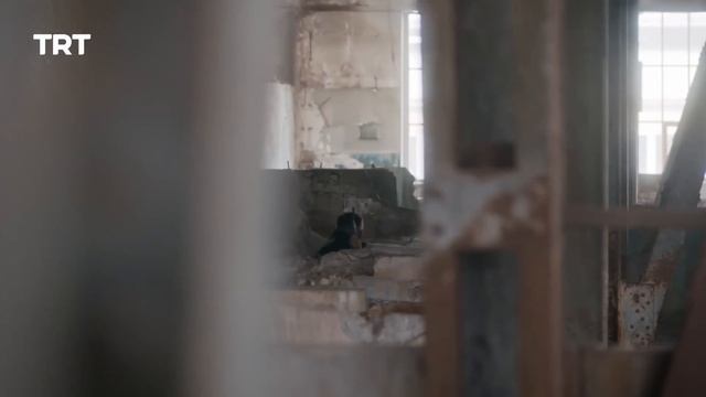 Payitaht Sultan Abdulhamid | Season 1 | Episode 218 смотреть онлайн