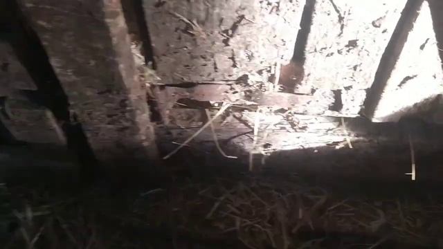 Вес индоуток и уток.//// Передаю приветы!! смотреть онлайн