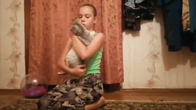 Дрессирую кошку. Но это плохая идея смотреть онлайн