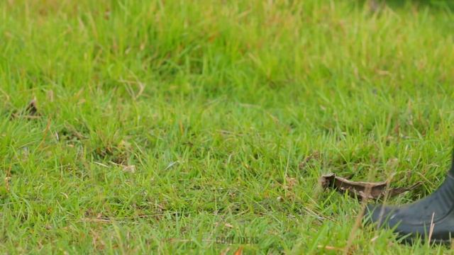 Experiment: LAVA Vs ELECTRIC EEL Underwater