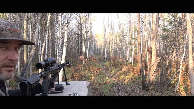 SIEGE 300 разобрал постучал собрал Cobra System смотреть онлайн