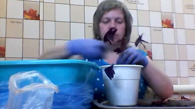 Пересадка комнатных цветов: Женское счастье, столетник, капуста и долларовое дерево. смотреть онлайн