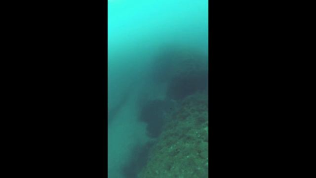 My First Gopro Max Underwater Video смотреть онлайн