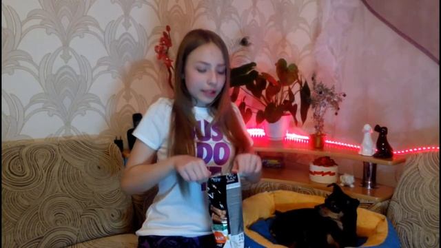 Два года вместе/Что я подарила собаке/Изменения в жизни/Той-терьер Тайсон. смотреть онлайн