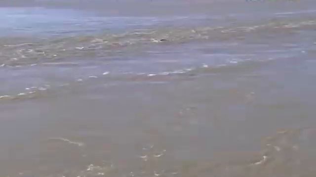 Карагандинская область продолжает уходить под воду смотреть онлайн