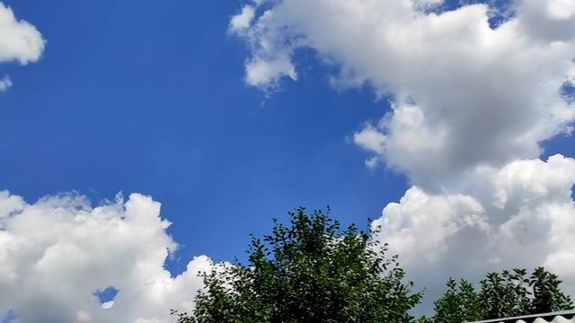 Руководство к Таланту