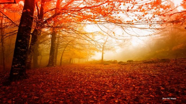 1час Душевная Музыка: Грустная Музыка без Слов! | Красивая Подборка смотреть онлайн