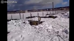 Танк выезжает из сугроба