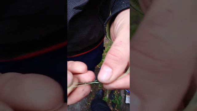 Узел на плетенку. Самый простой и крепкий узел. Легко смотреть онлайн