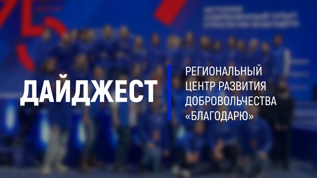 Дайджест Ноябрь 2023 смотреть онлайн