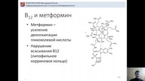 Лекция 11. Витамин В12