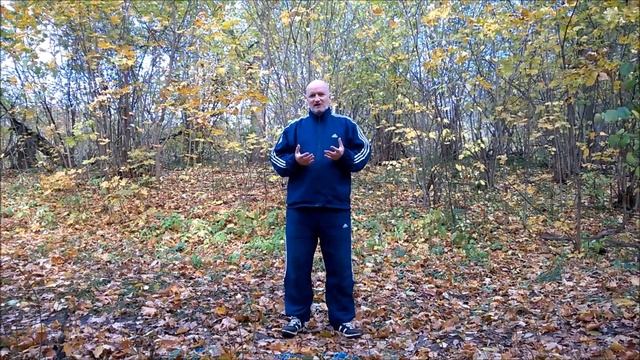 Тайцзи цигун 2 (продолжение) смотреть онлайн