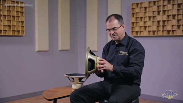 Celestion Magnet Types - American Musical Supply смотреть онлайн