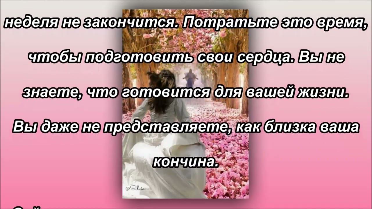 Мои Невесты, вы нужны Мне