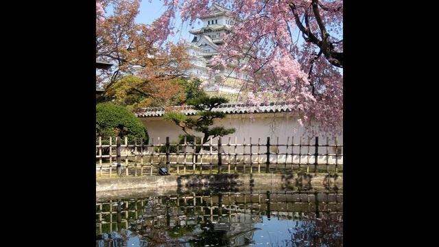 Фото слайд-шоу Замков. Замок Химэдзи (Himeji Castle) в Японии. Сад смотреть онлайн