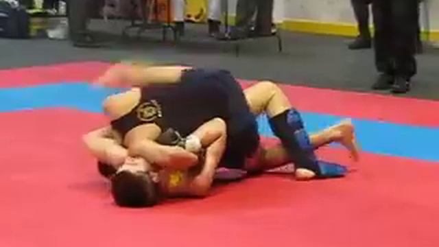 Чемпионат Украины по хортингу в г. Киев 23 марта 2012 года смотреть онлайн