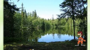 Паустовский Заячьи лапы