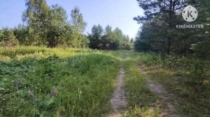 Натаска щенка лайки. Первые "трофеи"!!!