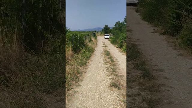 ПРОДАЕТСЯ УЧАСТОК 12 СОТ. МАРЬИНА РОЩА, 8(938)53-53-780 смотреть онлайн