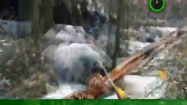 Cabela´s Outdoor Adventures - Integrity Trophy смотреть онлайн